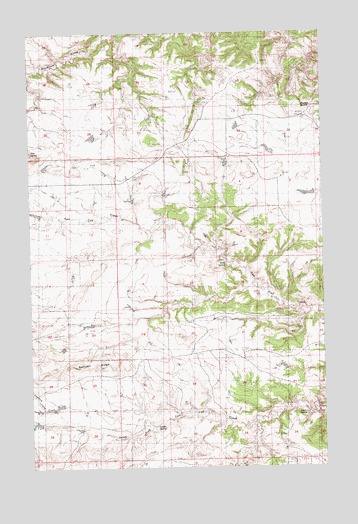 Reppe Butte, MT USGS Topographic Map
