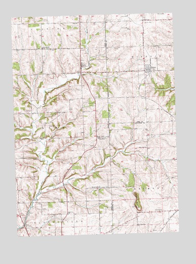 Rewey, WI USGS Topographic Map
