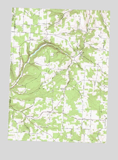 Rexville, NY USGS Topographic Map