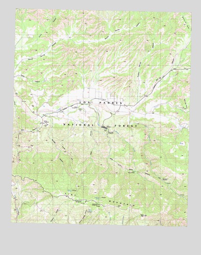 Reyes Peak, CA USGS Topographic Map