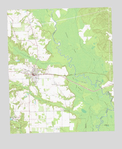 Reynolds, GA USGS Topographic Map