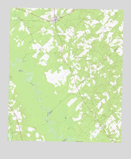 Rhine, GA USGS Topographic Map