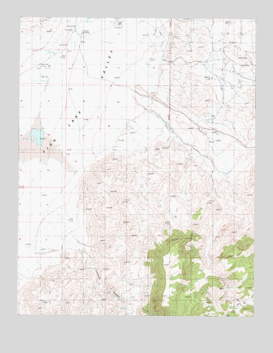 Rhyolite Ridge SW, NV USGS Topographic Map