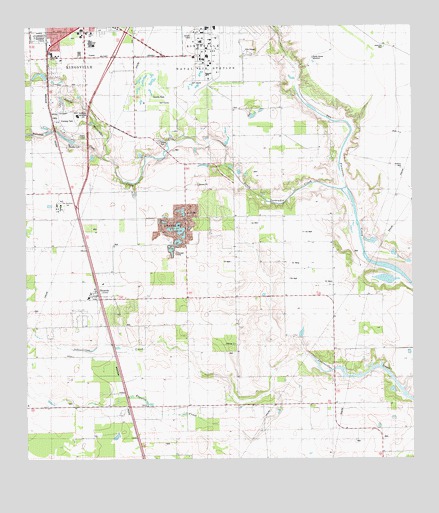 Ricardo, TX USGS Topographic Map