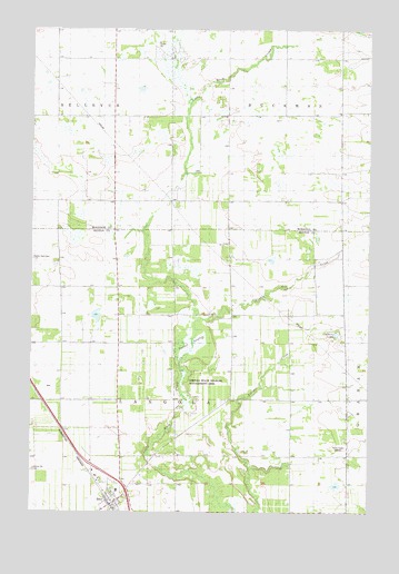 Rice, MN USGS Topographic Map