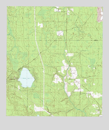 Rice Creek, FL USGS Topographic Map