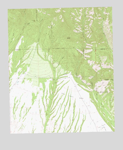 Rice Ranch, NM USGS Topographic Map