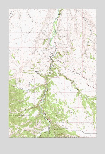 Riceville, MT USGS Topographic Map