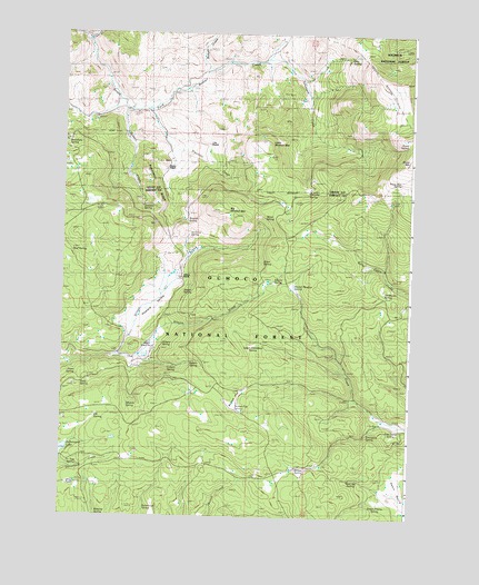 Big Mowich Mountain, OR USGS Topographic Map