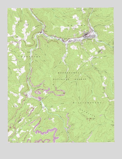 Richwood, WV USGS Topographic Map