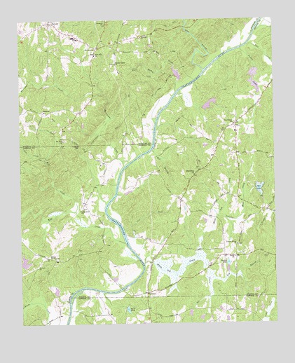 Rico, GA USGS Topographic Map