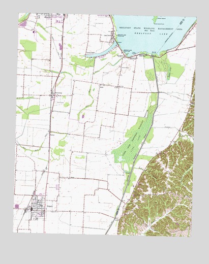 Ridgely, TN USGS Topographic Map