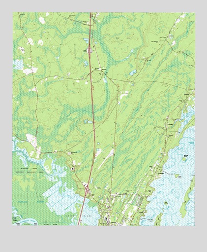 Ridgeville, GA USGS Topographic Map
