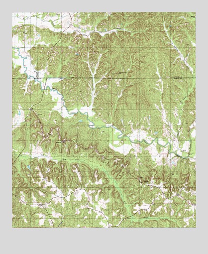 Ridgeville, AL USGS Topographic Map