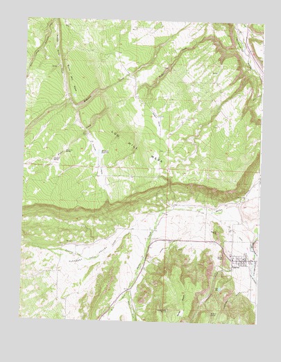 Ridgway, CO USGS Topographic Map