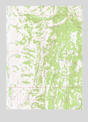 Big Park, WY USGS Topographic Map