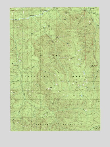 Rigdon Point, OR USGS Topographic Map