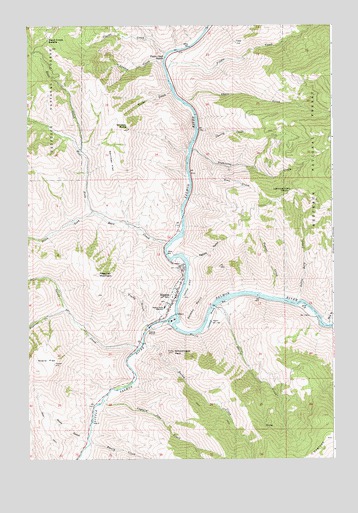 Riggins, ID USGS Topographic Map