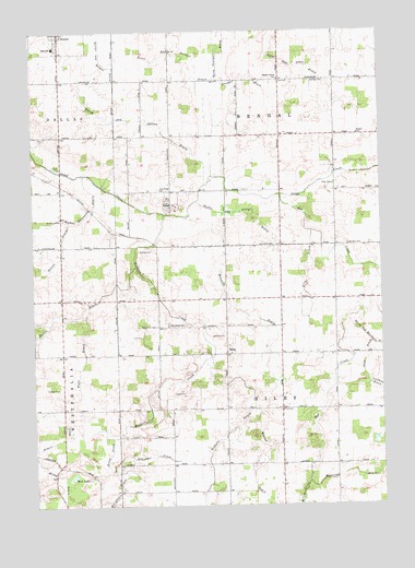 Riley, MI USGS Topographic Map