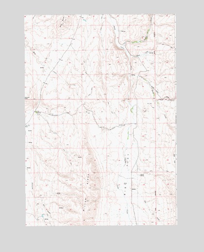 Riley Butte, ID USGS Topographic Map