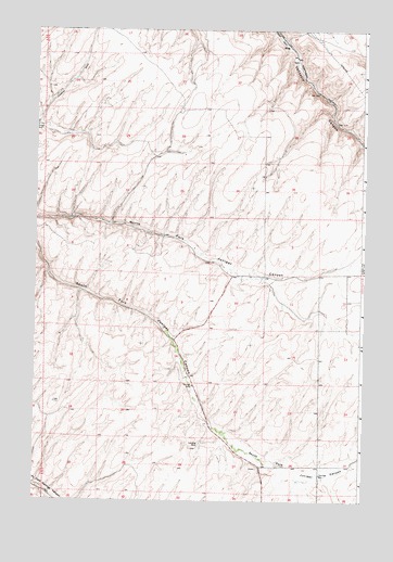 Ring, OR USGS Topographic Map