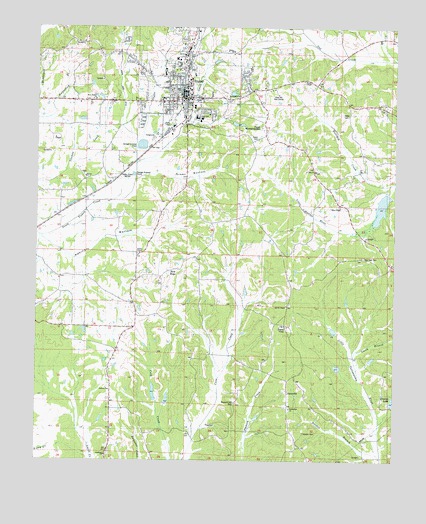 Ripley, MS USGS Topographic Map