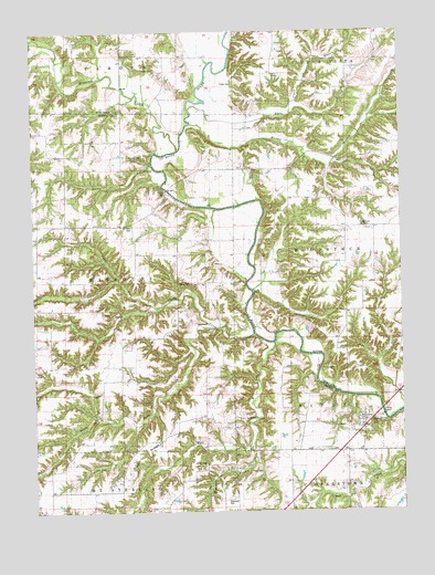 Ripley, IL USGS Topographic Map