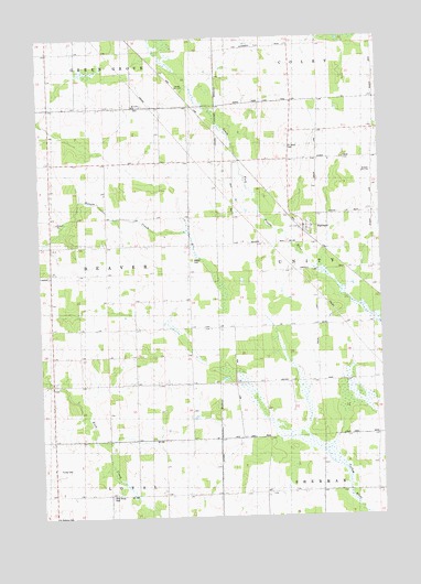Riplinger, WI USGS Topographic Map