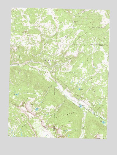 Ripple Creek, CO USGS Topographic Map