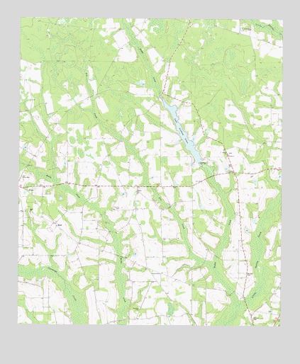 Ritch, GA USGS Topographic Map