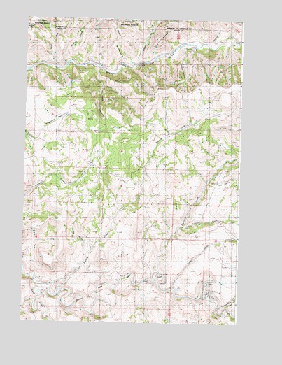 Ritter, OR USGS Topographic Map