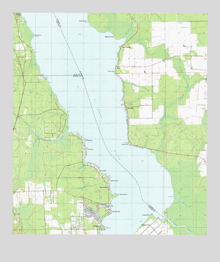 Riverdale, FL USGS Topographic Map