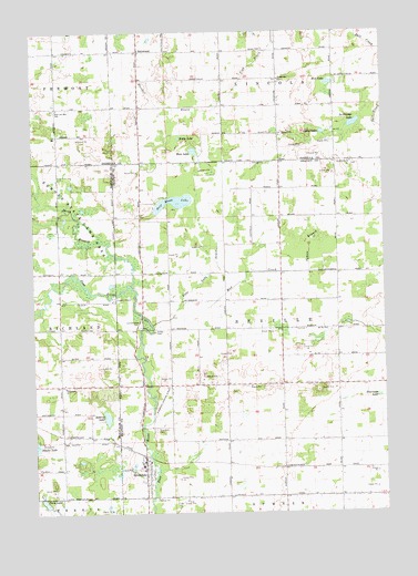 Riverdale, MI USGS Topographic Map