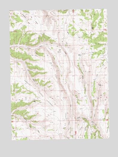 Big Ridge, WY USGS Topographic Map