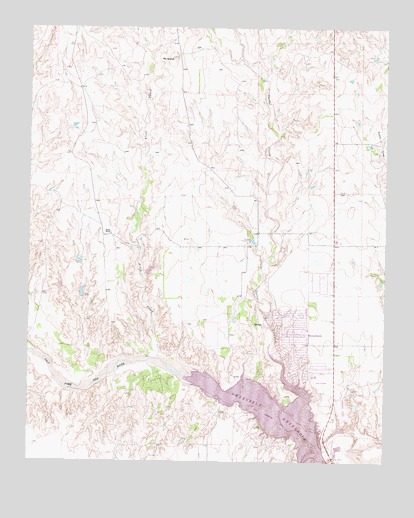 Roach Ranch, TX USGS Topographic Map