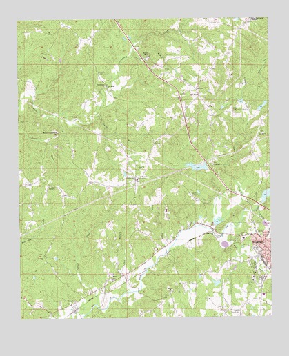 Roanoke West, AL USGS Topographic Map