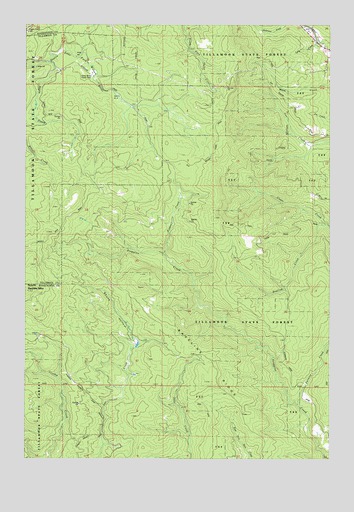 Roaring Creek, OR USGS Topographic Map