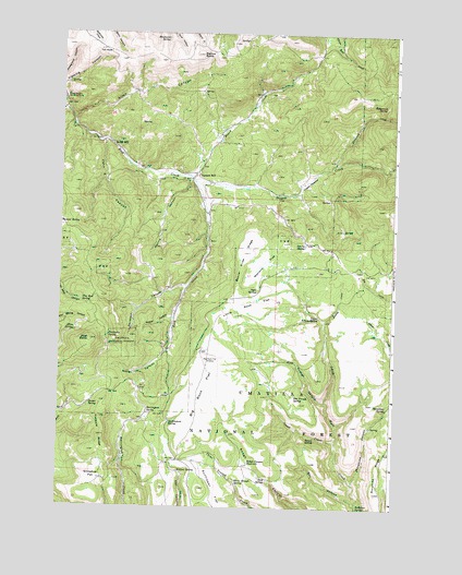 Big Rock Flat, OR USGS Topographic Map