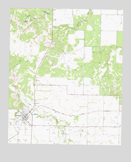 Roaring Springs, TX USGS Topographic Map
