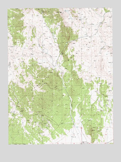 Roberts Creek Mountain, NV USGS Topographic Map