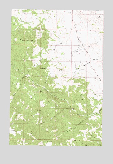 Roberts Mountain, MT USGS Topographic Map