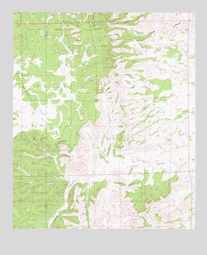 Robertson Canyon, NM USGS Topographic Map