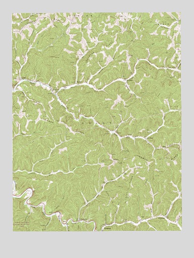 Big Run, WV USGS Topographic Map