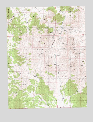 Robinson Summit, NV USGS Topographic Map