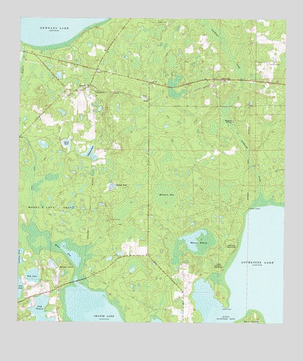 Rochelle, FL USGS Topographic Map