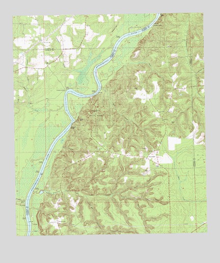 Rock Bluff, FL USGS Topographic Map