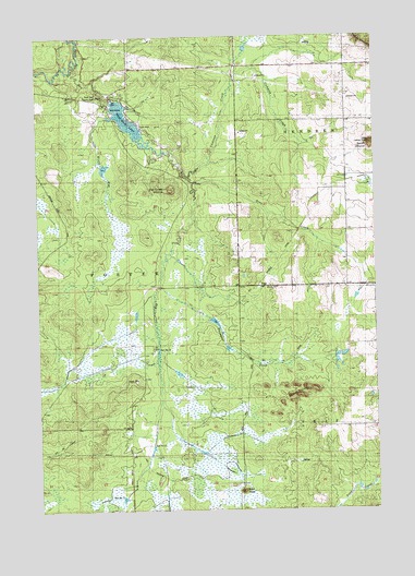 Rock Dam Lake, WI USGS Topographic Map