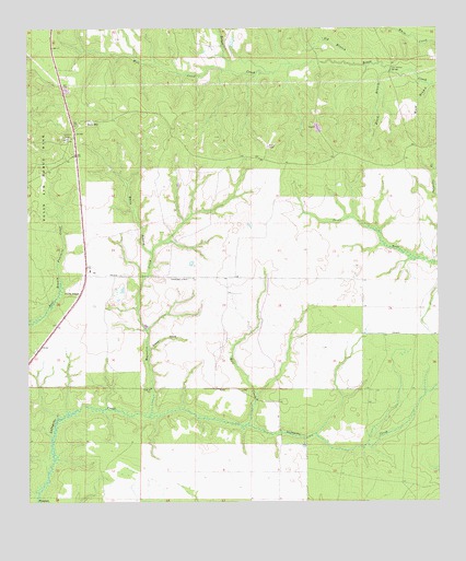 Rock Hill, FL USGS Topographic Map