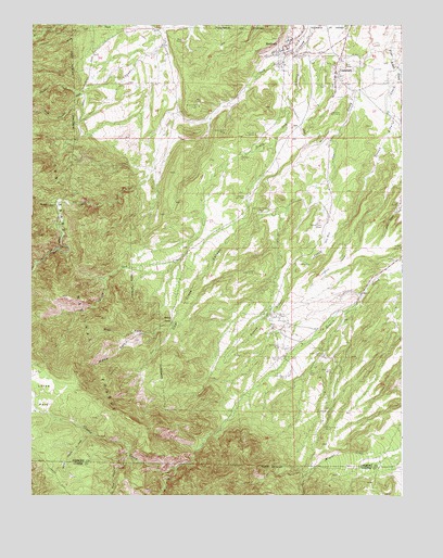 Rockvale, CO USGS Topographic Map