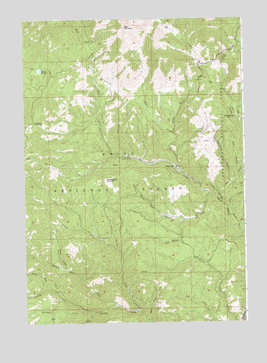 Rocky Bar, ID USGS Topographic Map